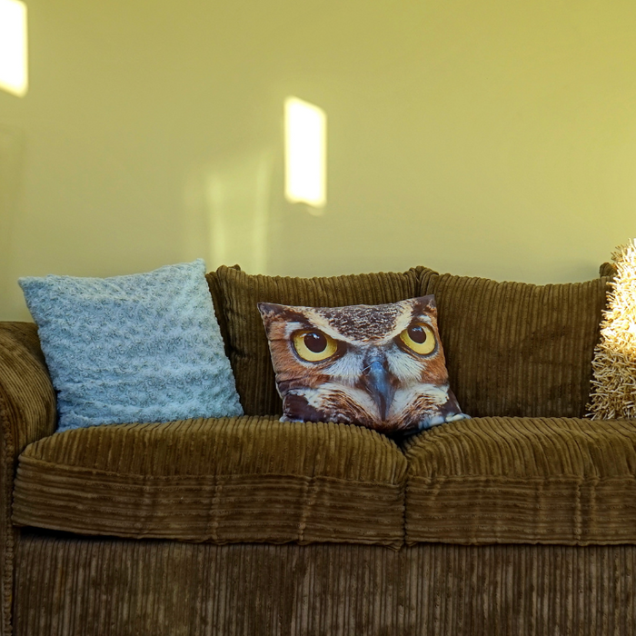 From Cozy to Chic: Choosing the Right Ceiling Lights for Your Living Room