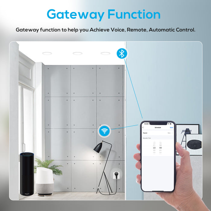 Wifi Smart Plug EU Standard with Tuya Bluetooth Gateway function